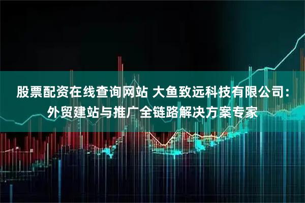 股票配资在线查询网站 大鱼致远科技有限公司：外贸建站与推广全链路解决方案专家